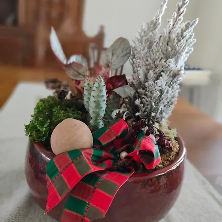 Casa Do Avo Gil 塞舒