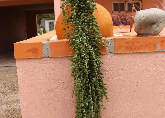 Casa Do Avô Gil Seixo (Coimbra)