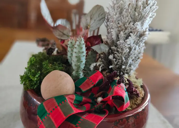 Casa Do Avô Gil Seixo (Coimbra)